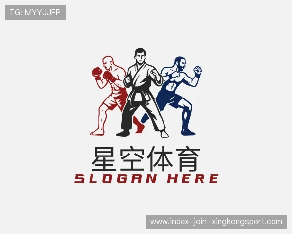 关于星空体育官方网站