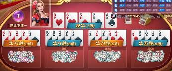 星空体育(中国大陆)官网 - XINGKONG SPORTS