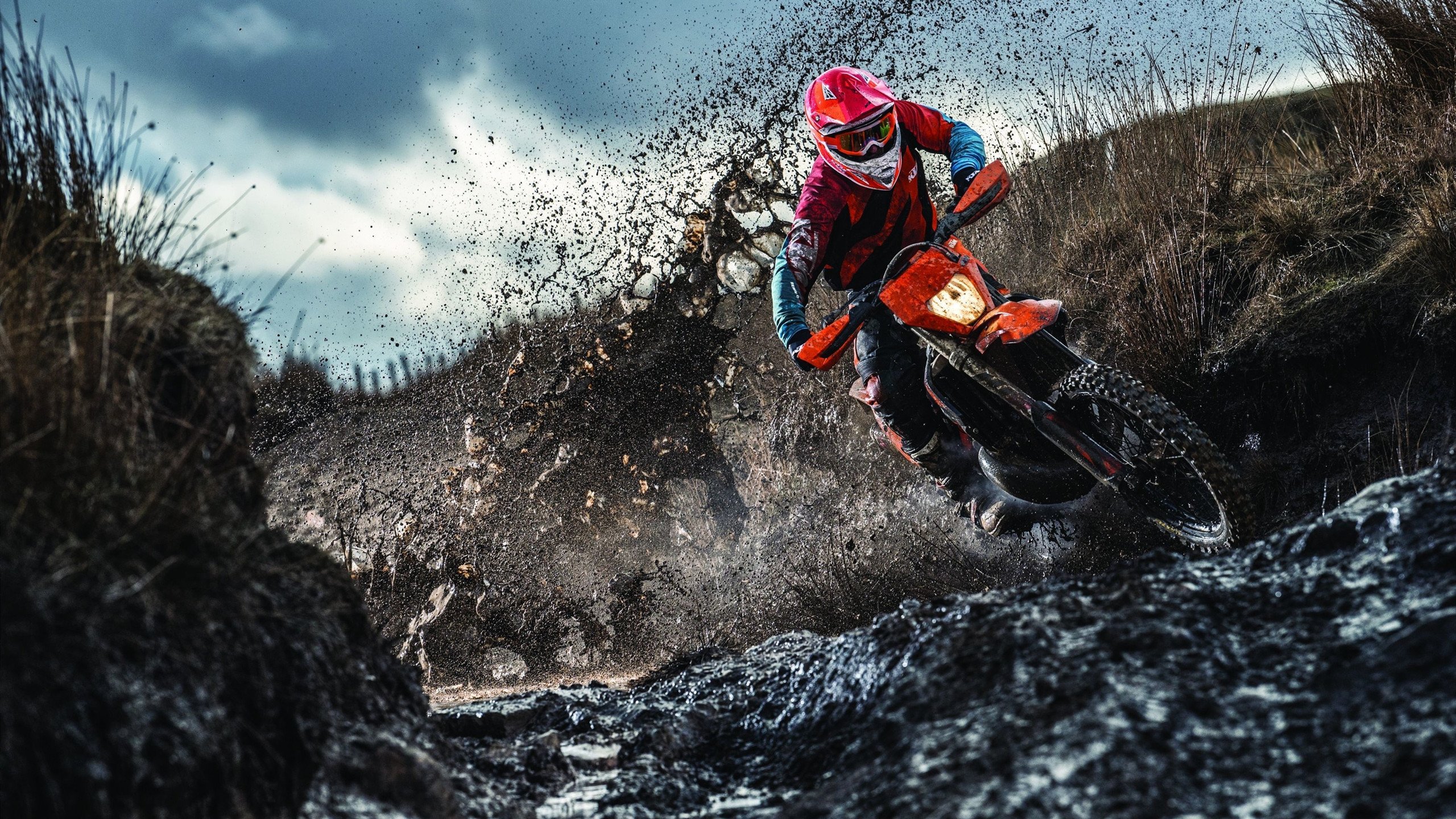 体育赛事直播收视率统计