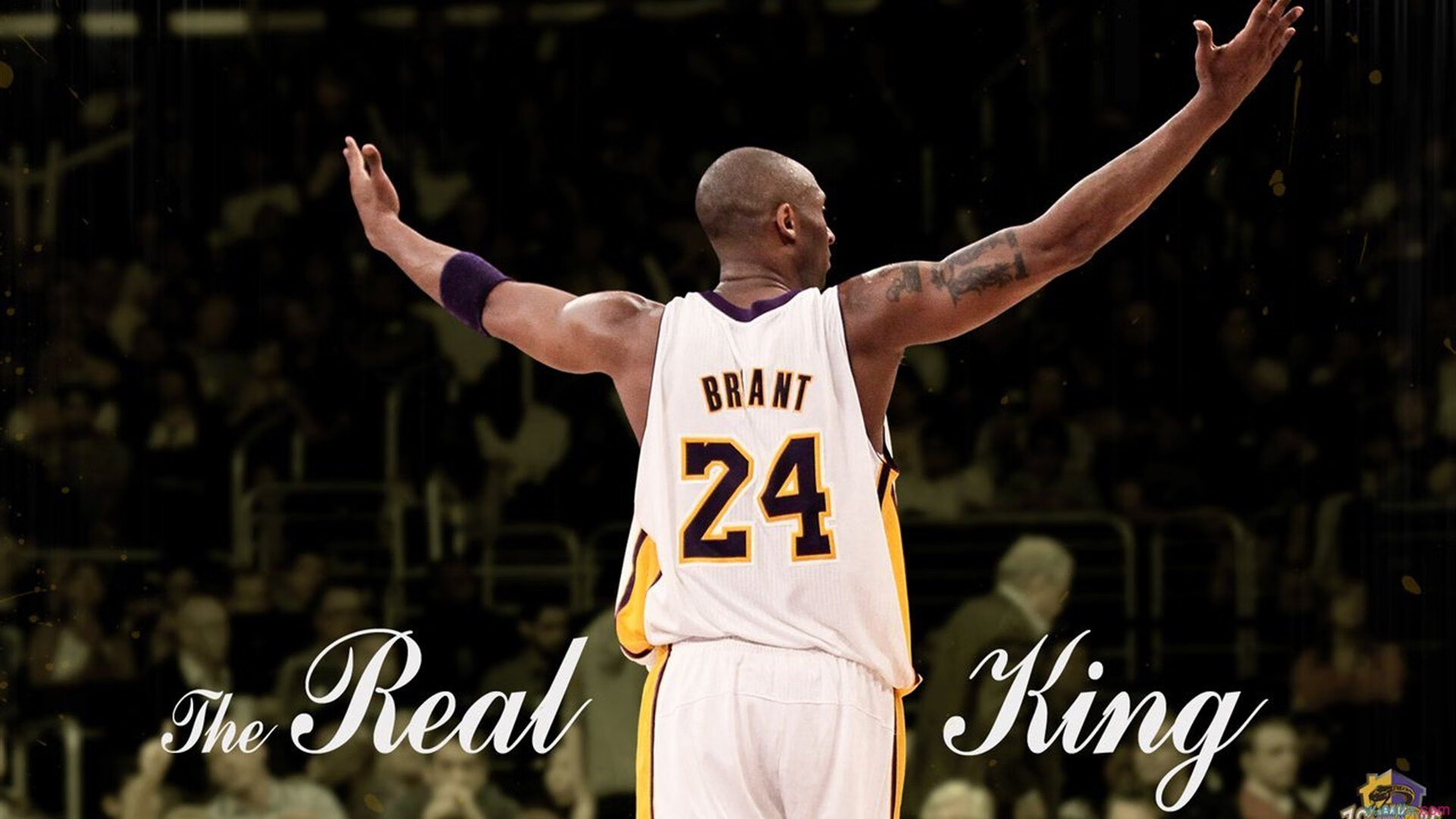 少年运动员数据可视化挑战赛 选手用图表讲述训练故事